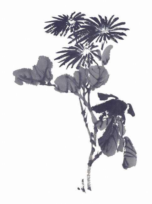 中国风墨水画