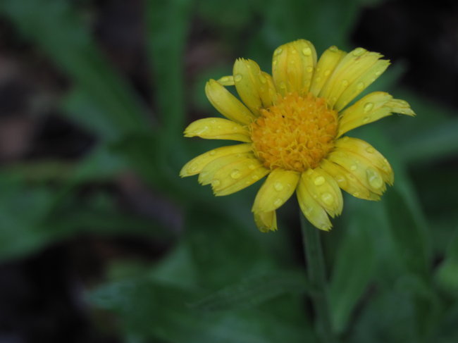 高清图片免费下载_jpg格式_3648像素_编号1101052
