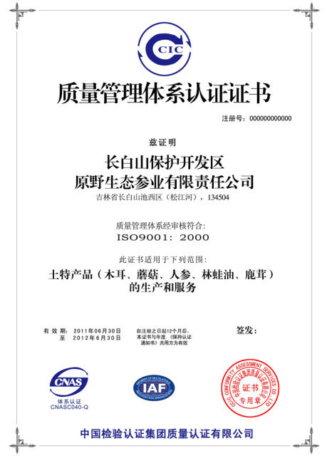 质量管理体系认证证书矢量图免费下载_psd格