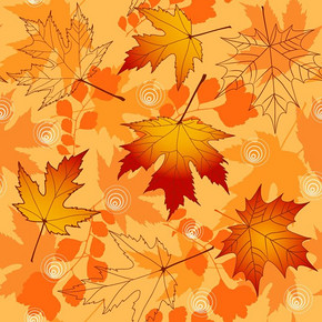 下载数据库模板免费下载_eps格式_编号14647