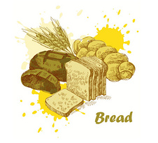 小麦手绘图片免费下载_小麦手绘素材_小麦手