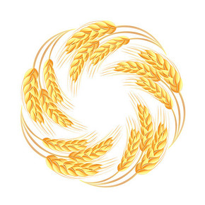 股权证明书纹理边框免费下载_格式:cdr(图片编