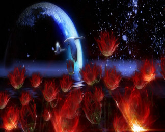 夜色实拍视频图片免费下载