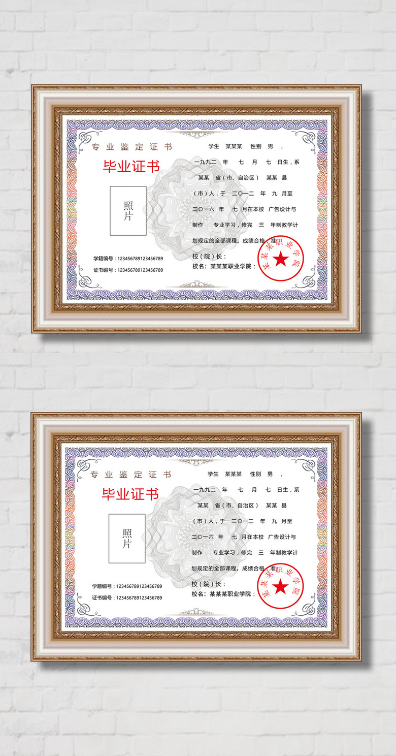 进修毕业证书资格证书背景学历证书花边证书矢