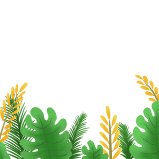 9deabc12ce8591020d329d47a9b2bc3f.png!qt324