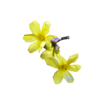 7eb3821787b563a26dd7940fca68d000.png!qt324