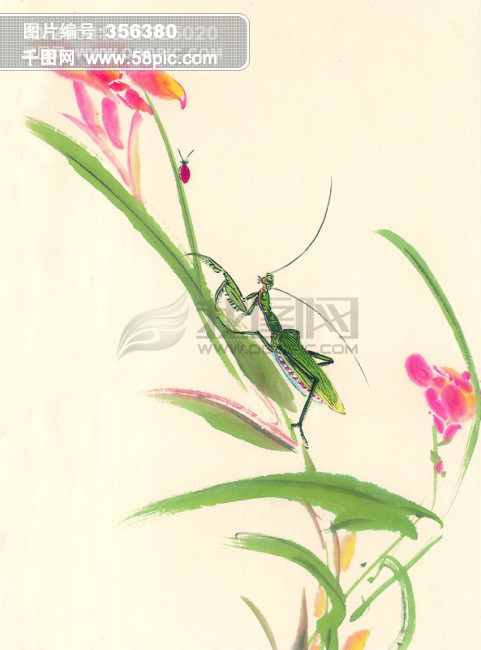 水墨画 昆虫 蚂蚱 蛐蛐 知了 蝗虫 中华艺术绘画