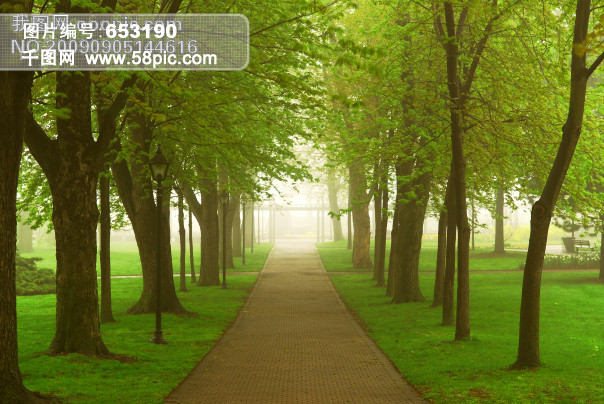 绿荫小径高清图片-2高清图片免费下载_jpg格式