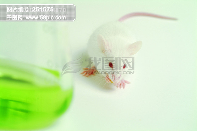 生化科技 试管 细胞组织液 微生物 人体高清图片