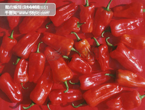 东风标致汽车之家大型团购主背景模板免费下载