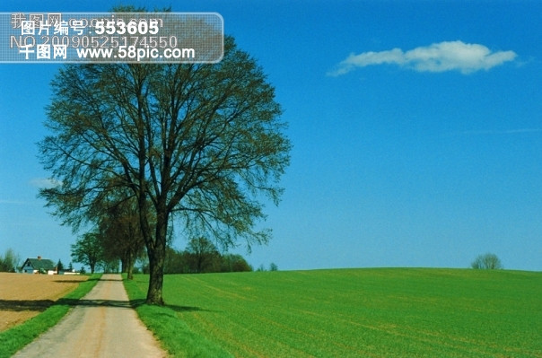 风景 旅游 山 水 树 天空 蓝天 白云 草地 背景 桌