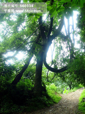 【手机主题素材库】图片免费下载_手机主题素