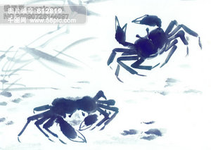 蟹形容什么生肖 0x400a0a0