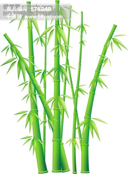 毛竹矢量图免费下载_ai格式_编号576249