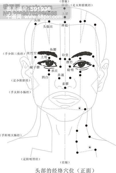 头部的经络穴位