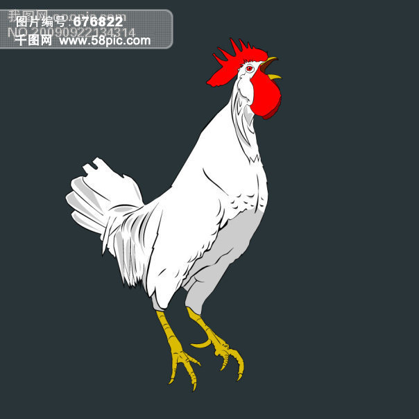 白公鸡矢量图免费下载_ai格式_编号676822