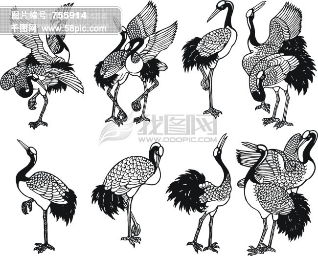 仙鹤 动物矢量图免费下载_cdr格式_编号75591