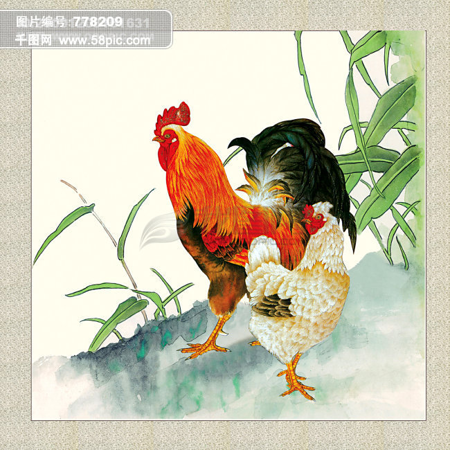 美丽的大公鸡和母鸡模板免费下载_psd格式_5