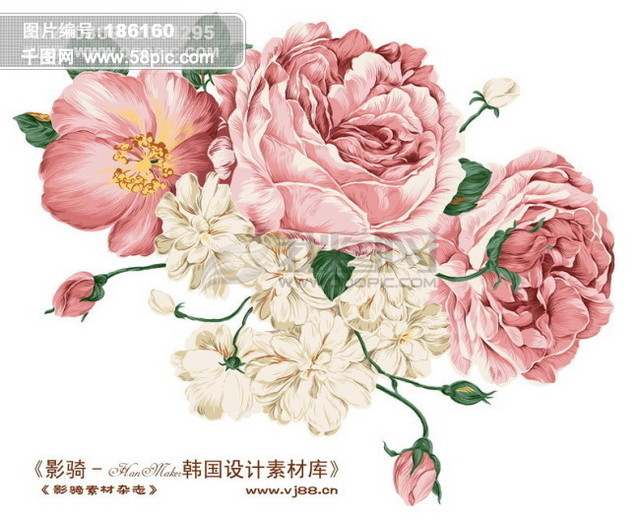 背景 底纹 花纹 花 花朵 艳丽 配色 精美 hanmaker韩国设计素材库