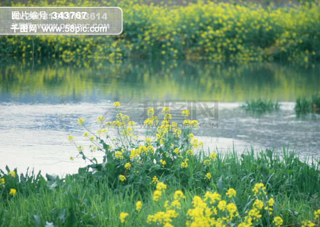 12121矢量图免费下载_psd格式_2950像素