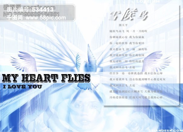 经典时尚 ps分层 流行音乐CD 熊天平 雪候鸟 C