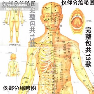 【膀胱】图片免费下载_膀胱素材_膀胱模板
