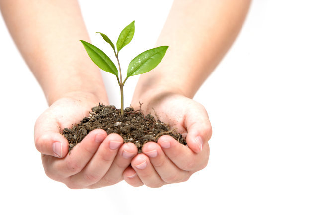 呵护大自然主题高清图片高清图片免费下载_jpg格式_5700像素_编号1053