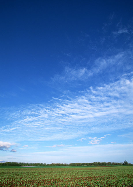 天空 大地 蓝天 白云 草地