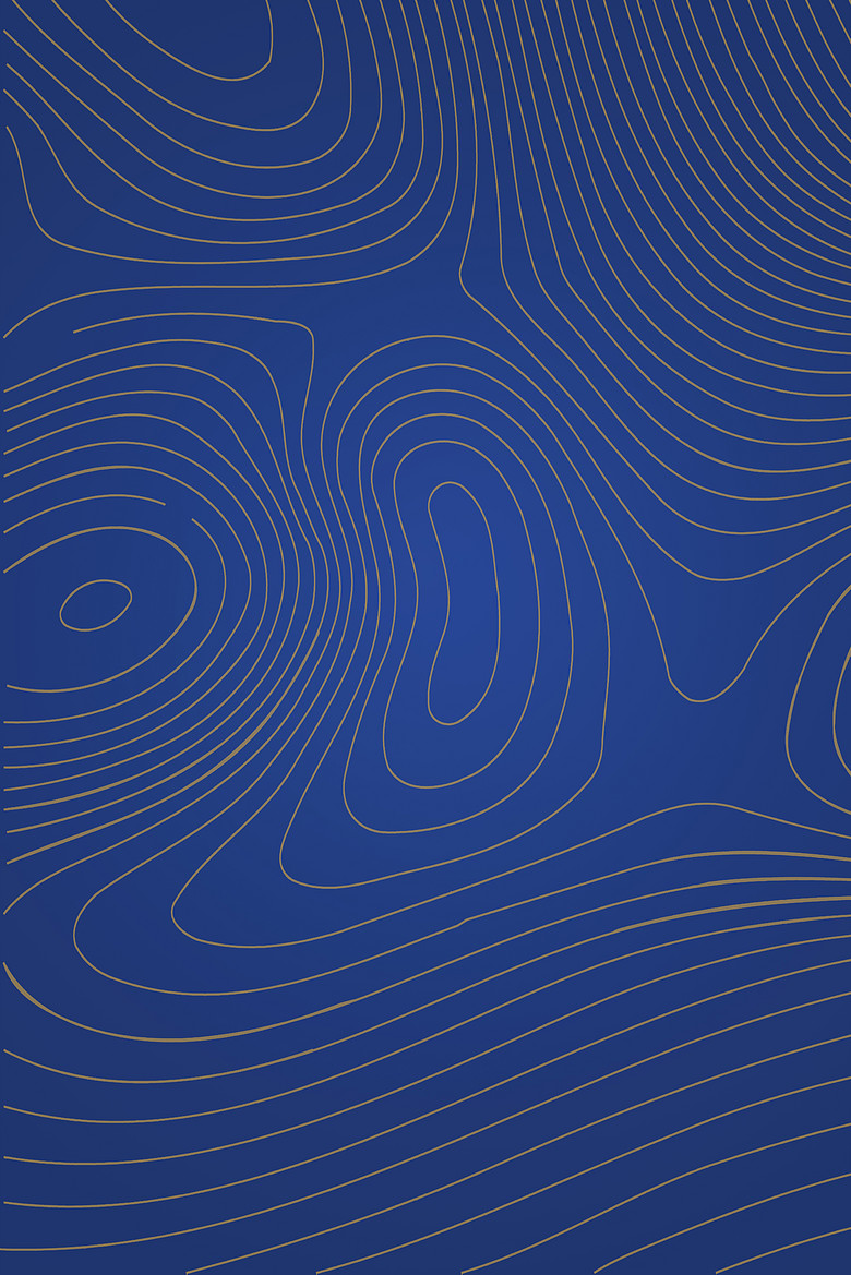 的店铺背景图片素材免费下载,本次作品主题是简约商务猪年底纹背景