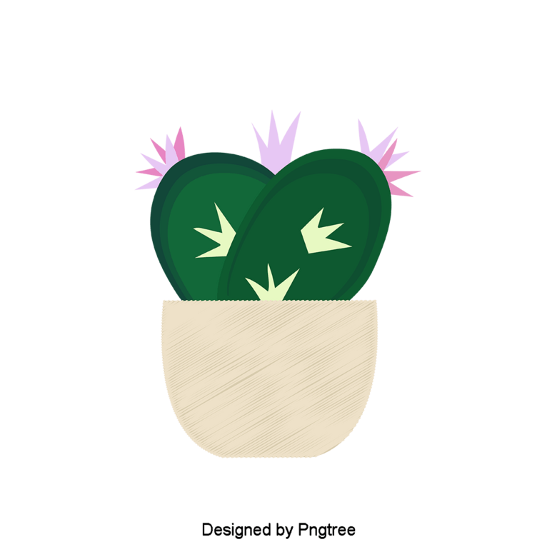 漂亮卡通可爱手绘植物盆栽仙人掌花