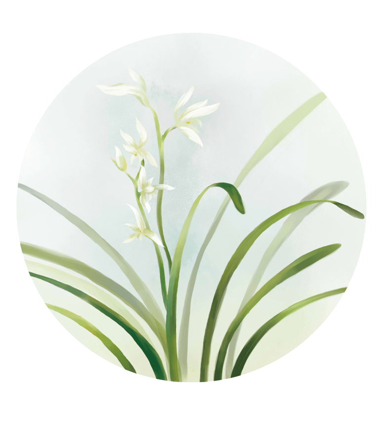 白色兰花中国风花卉贺卡海报psd元素