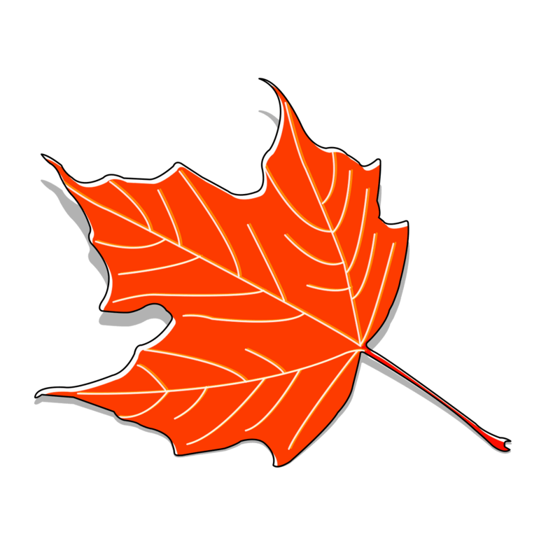 首页 设计元素 装饰图案 装饰图案 >红叶枫叶秋天立秋 千图网提供精美