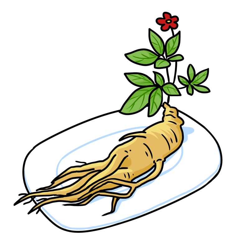 卡通手绘草本人参插画