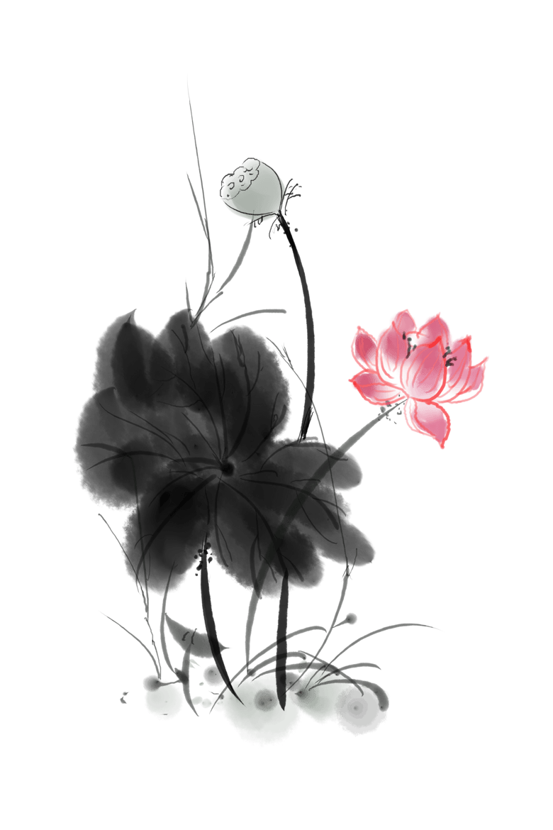 娇艳的水墨荷花插画