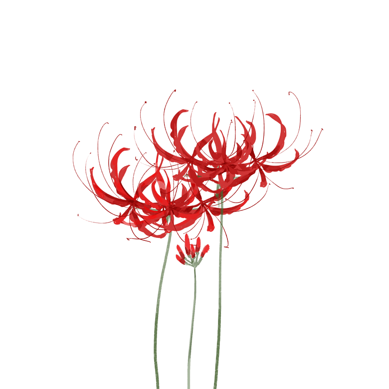 >古风手绘红色彼岸花装饰元素 千图网提供精美好看的装饰图案图片素材