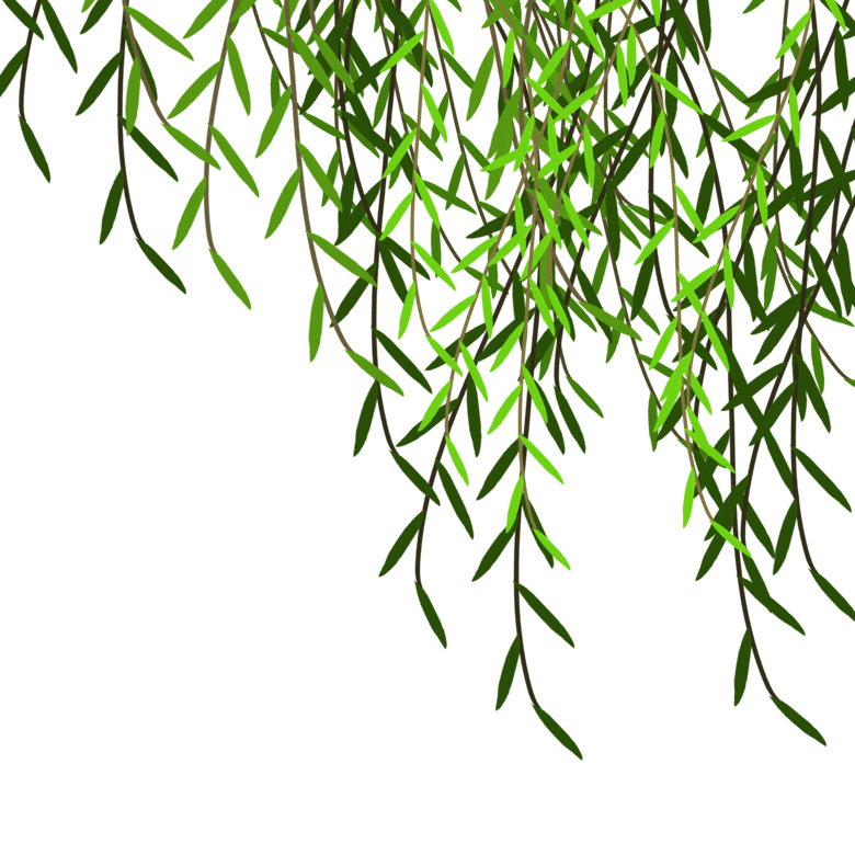 漂浮柳叶png素材